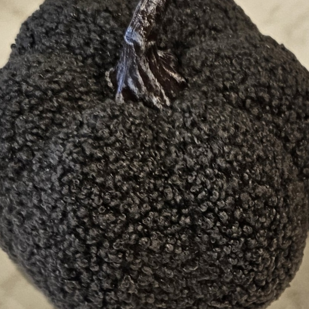 Sherpa Pumpkins Set of 4 Medium - Picture 5 of 13